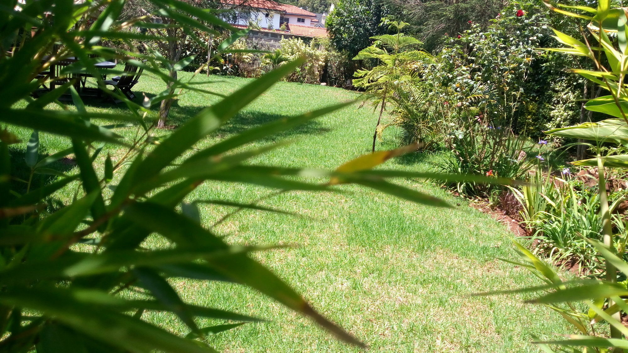 Fairacres House & Spa Langata Esterno foto